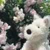 yennhiii_10
