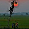 berkah.barokah083