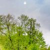 zaliy0620