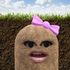cindyyil