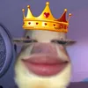 caicaiioi