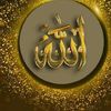 md.islam1656