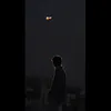 mandal_310