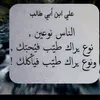 user40163846921228