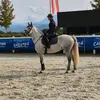 pony26158