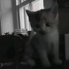 ww.tiktok.com_25