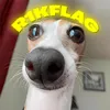 r1kflag x StRoGo