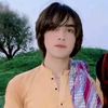 arif.gulli76