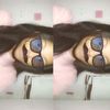 n4t4syaa_syaa