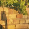 s_ayw18