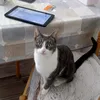 dydyprimevideo
