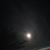 aii_1261