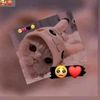 marianelachilel15