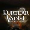 kurtlar vadisi