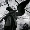 user9618151197434