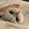 pluue0