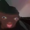 retiredsuicidebombr