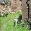 deivi_17.5