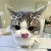 akuuppaaa