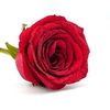 mai.mostafa4036