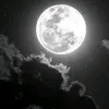 user480066081261