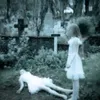 zainab_31331