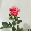 khadija_ay18