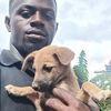 john.dogs.100k