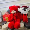 lisa.johnson6208