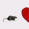 alexguerragomez5