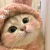 shie_m13
