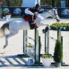 scarlet_hart_showjumping