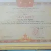 nghia.vn2