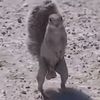 poopy_toilet12
