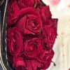 sabreen.2081