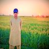hassan.ali62135