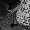 mz_solis19