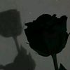 jory.najjar