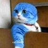 wisitsubbanyong44