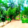 .www.apnapunjab1