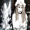 tom.kaulitz.numbe