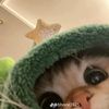 yuiyuly1