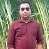 mdshowrov8