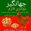 jahangirpoultryfarm