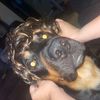 itss_hayhay1
