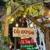 nv_coixaygio
