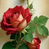 susma.pr122