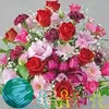 liduina.alves36