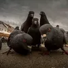 newdaygenx