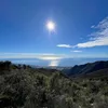 lostintrails